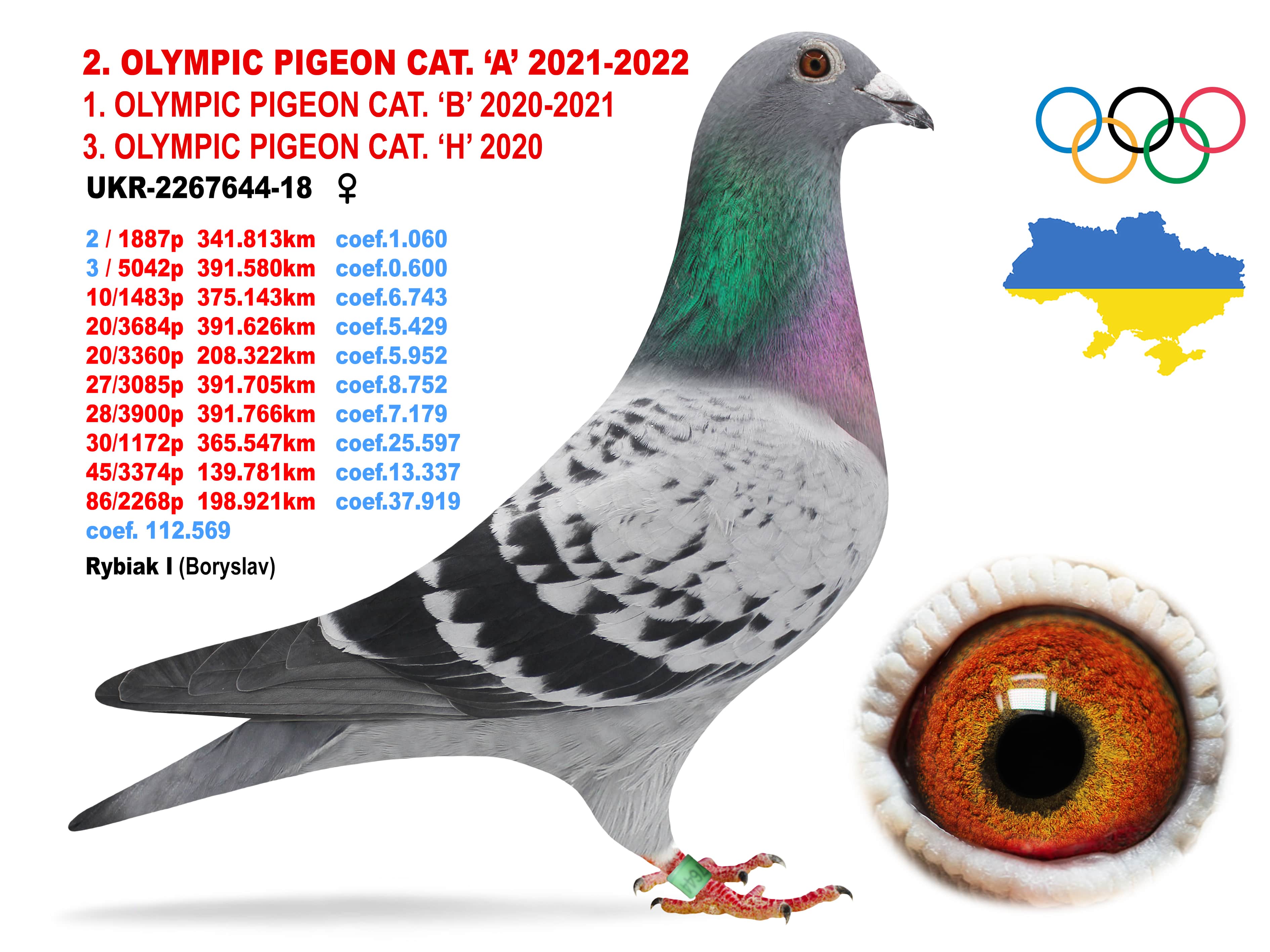 2022-A2